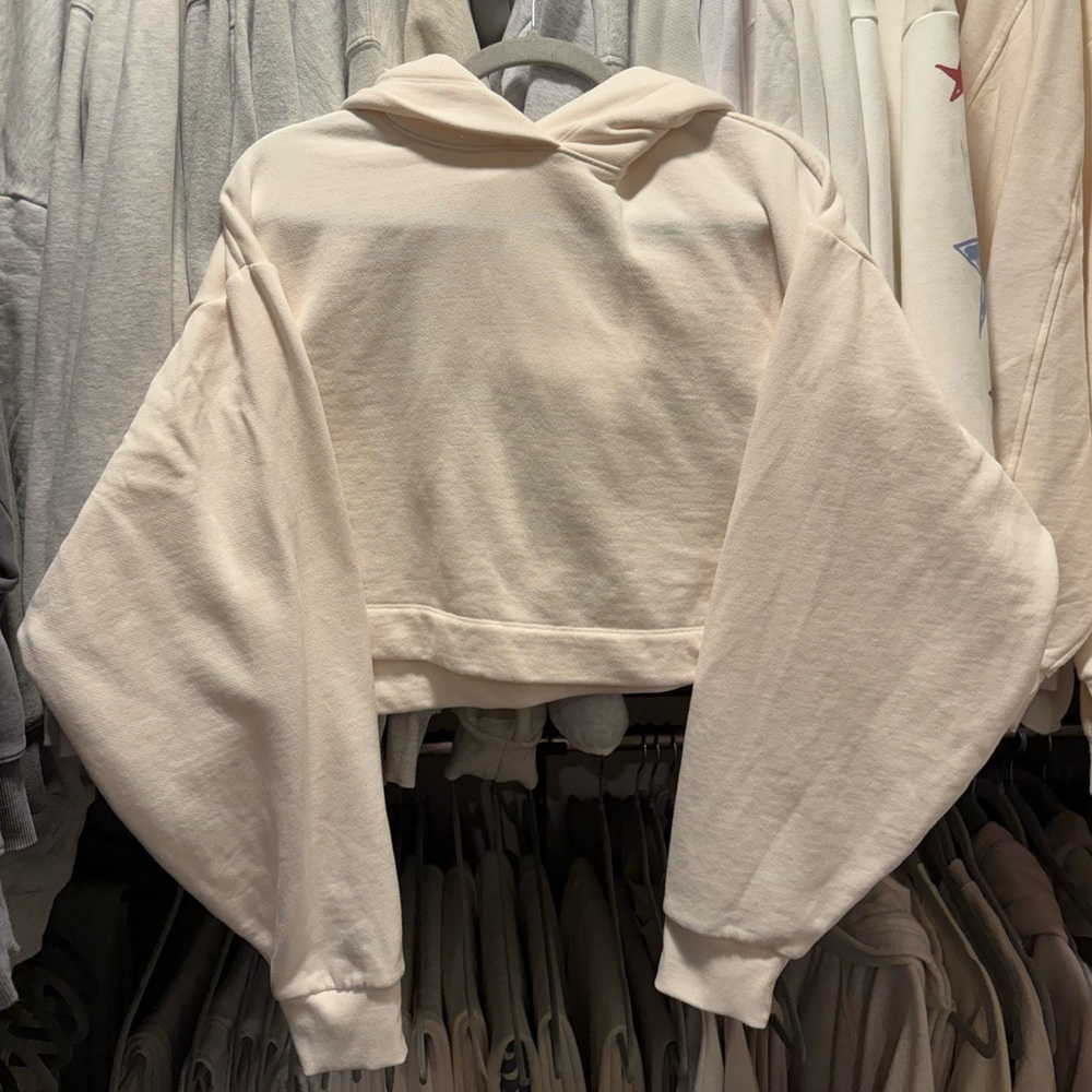 Alo Cropped Hoodie
